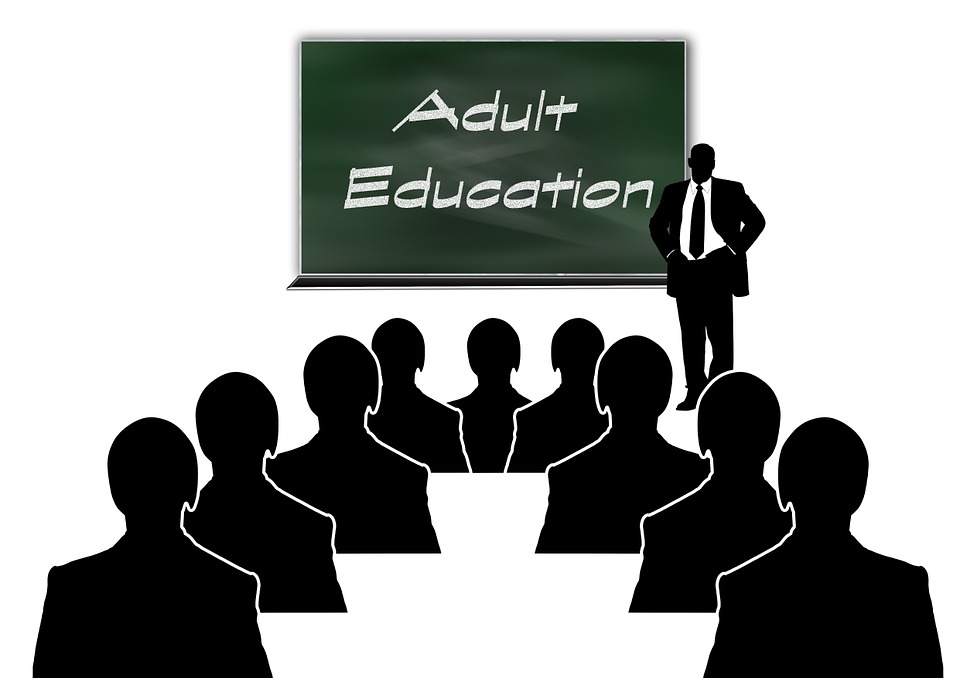 Adult Education in India: National and International Perspectives